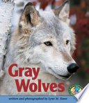 Gray Wolves cover