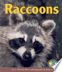 Raccoons cover