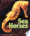 Sea Horses cover