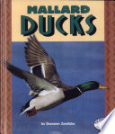 Mallard Ducks cover