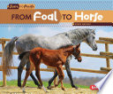 From Foal to Horse cover