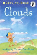 Clouds cover