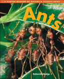 Ants cover