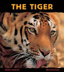 The Tiger: Ferocious Feline cover