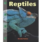 Reptiles cover