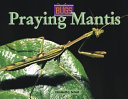 Praying Mantis cover