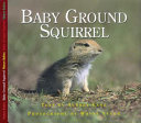 Baby Ground Squirrel cover