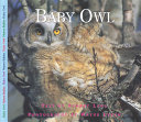 Baby Owl cover