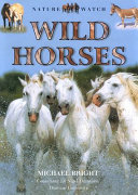 Wild Horses cover