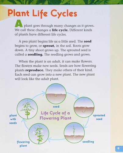 Classroom Plants cover