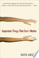 Important Things That Don't Matter cover