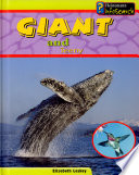 Giant and Teeny cover