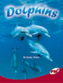 Dolphins cover