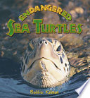 Endangered Sea Turtles cover