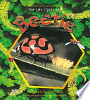 The Life Cycle of a Beetle cover