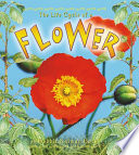 The Life Cycle of a Flower cover