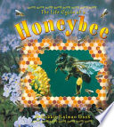 The Life Cycle of a Honeybee cover