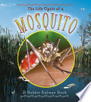 The Life Cycle of a Mosquito cover