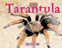 Tarantula cover