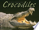 Crocodiles cover