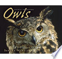 Owls cover