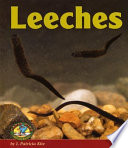 Leeches cover