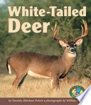 White-Tailed Deer cover