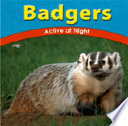 Badgers: Active at Night cover