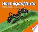 Ants cover