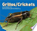 Crickets cover