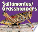 Grasshoppers cover