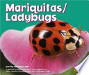 Ladybugs cover