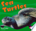 Sea Turtles cover