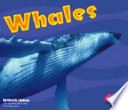 Whales cover