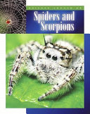 Spiders and Scorpions cover