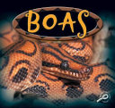 Boas cover