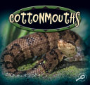 Cottonmouths cover
