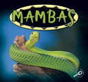 Mambas cover