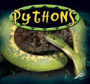 Pythons cover
