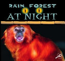 Rain Forest at Night cover