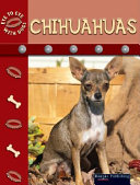 Chihuahuas cover