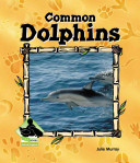 Common Dolphins cover