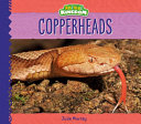 Copperheads cover