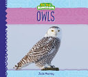 Owls (Animal Kingdom) cover
