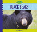 Black Bears cover