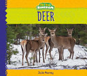 Deer (Animals Kingdom) cover