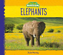 Elephants (Animal Kingdom) cover