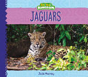 Jaguars (Animal Kingdom) cover