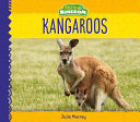 Kangaroos (Animal Kingdom) cover