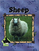Sheep (Animal Kingdom) cover